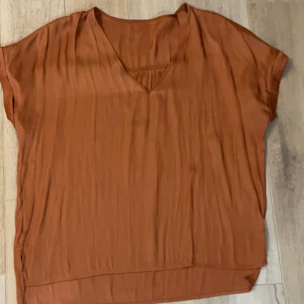 Gorgeous silky bronze cap sleeve tunic